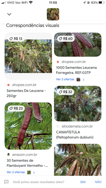 126E7549-A49E-47D7-A59A-83665E6F3985 Pesquisa no Google Lens