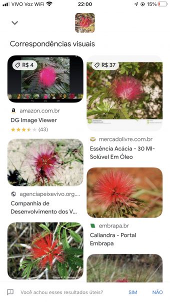 948CEC46-ABC0-42DA-9FBD-C9A65D8778DE Correspondências visuais do Google Lens